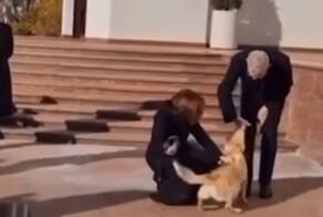 Собака президента Молдавии укусила главу австрийского государства