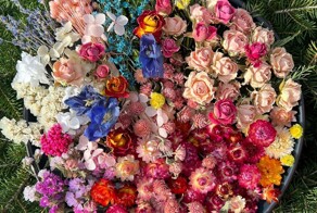 С добрым утром