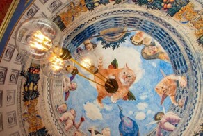 В Питере найдена квартира для кошатников