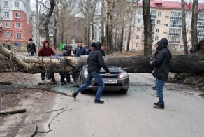 Упавшее дерево раздавило машину с людьми