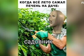 Комментарии и картинки из соцсетей. Свежак за 22 ноября