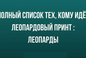 Юмор за день и леопардовый принт