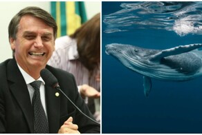 Бывшего президента Бразилии обвинили в домогательствах к киту