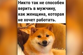 Комментарии и картинки из соцсетей. Свежак за 27 ноября
