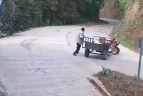 На видео попал момент&nbsp;противостояния фермера и мотоблока