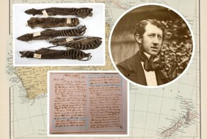 Кровавый путь в науку: как 150 лет спустя разоблачили «ведущего ученого» колонизированной Тасмании