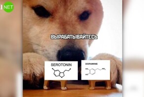 Комментарии и картинки из соцсетей. Свежак за 29 ноября