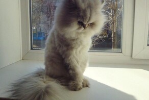 Не подходите к ним, они обиделись