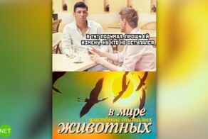 Комментарии и картинки из соцсетей. Свежак за 30 ноября
