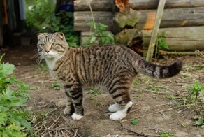 Просто красивые, душевные фотографии. Часть 4