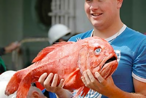 Атлантический большеголов: эти рыбы живут 200 лет!