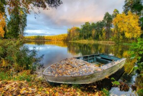 Просто красивые, душевные фотографии. Часть 6