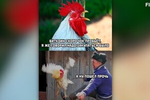 Комментарии и картинки из соцсетей. Свежак за 4 декабря