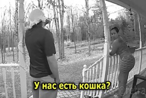 Почему папа делает больно кошке?