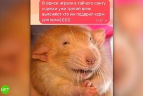 Комментарии и картинки из соцсетей. Свежак за 5 декабря