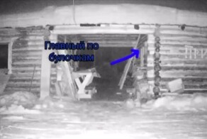 Ограбление века: компания соболей решила обнести кормовую базу