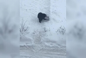 Бабушка руками расчищает тропинку от снега