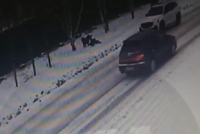 «Пусть несёт ответственность за всё»: в Алтайском крае собака набросилась и искусала подростка