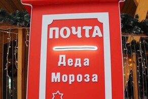 Детские запросы на Новый год, которые пришлось исполнить родителям