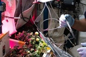 Астронавтам удалось найти в космосе потерянный помидор
