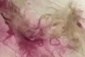 Блогершу Юлию Финесс побрили налысо за неуважение к армянам