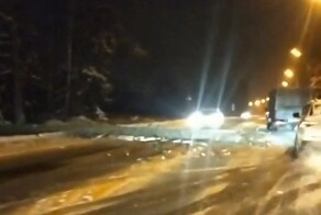 Снимал упавшее дерево, а записал ДТП