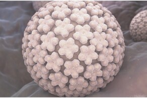 Небольшой рассказ о ВПЧ и почему его надо бояться