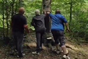 Не такого финала они ожидали
