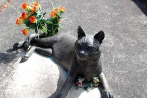 Короткое путешествие отважной миссис Чиппи