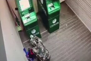 В Чувашии вор пытался вскрыть банкомат овощечисткой