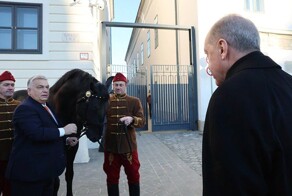 Ход конём: Эрдоган подарил Орбану электрокар, а в ответ получил жеребца по кличке Аристократ