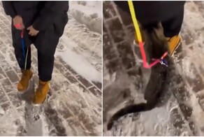 Кошка нашла способ согреться