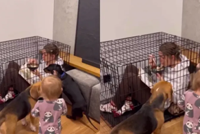 Единственный способ спокойно поесть в этом доме