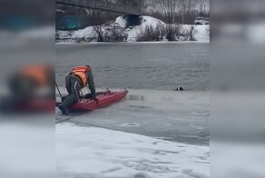 В Башкирии спасатели вытащили спаниеля, провалившегося под лед реки Белой