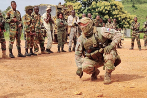 Десятки тысяч отборных воинов Русской Армии едут в Сахель