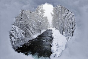 С добрым утром