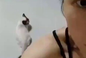 Найден очень талантливый массажист, который работает за еду