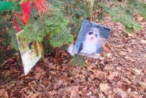 "Дерево памяти" в Нью-Йорке никого не оставляет равнодушным