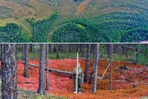 Стало известно, какая культура построила самые древние оборонительные сооружения в мире