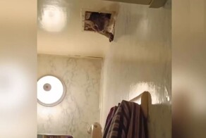 Спасатели вызволили кота из вентиляции