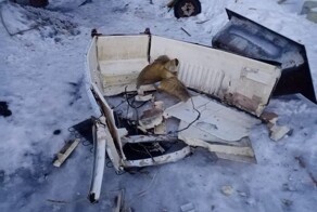 В Омской области отец решил развлечь сыновей и засунул петарду в холодильник