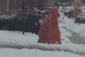 Два человека в костюме динозавра устроили снежный бой