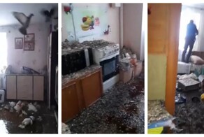 Хозяева квартиры забыли закрыть балкон и уехали на полгода