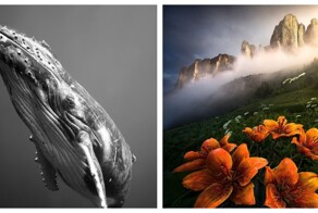 Итоги Budapest International Foto Awards 2023