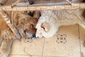 С добрым утром