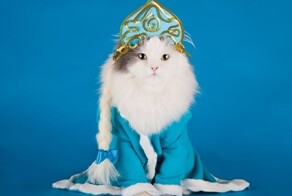 Праздничные наряды - удачные и не очень