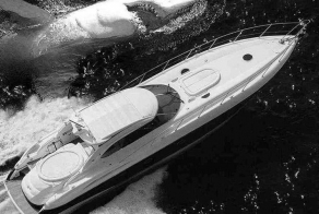 Опасные санитары моря (15 фото)