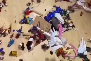 Мальчик уничтожил коллекцию фигурок своего родственника