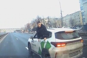 Без ДТП. Сказочные олени на каршеринге