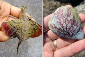 14 раз, когда матушка-природа преподнесла человеку необыкновенный сюрприз